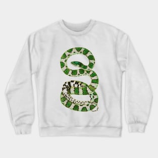 serpent,cobra,reptile,viper,venom,lizard,rattlesnake,king cobra,dragon,hydra,poison,venomous,plumber's snake,pythonidae,pythons,auger,python,squamata,serpentine,worm,big,ophidian,rattlesnakes,medusa,snakebite Crewneck Sweatshirt